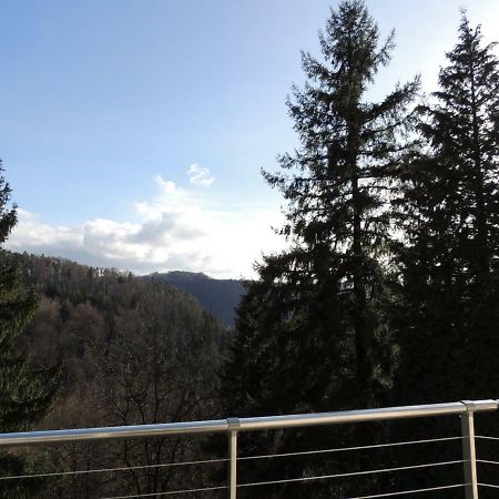 Gite Esperanza Spa Et Sauna Haselbourg Esterno foto