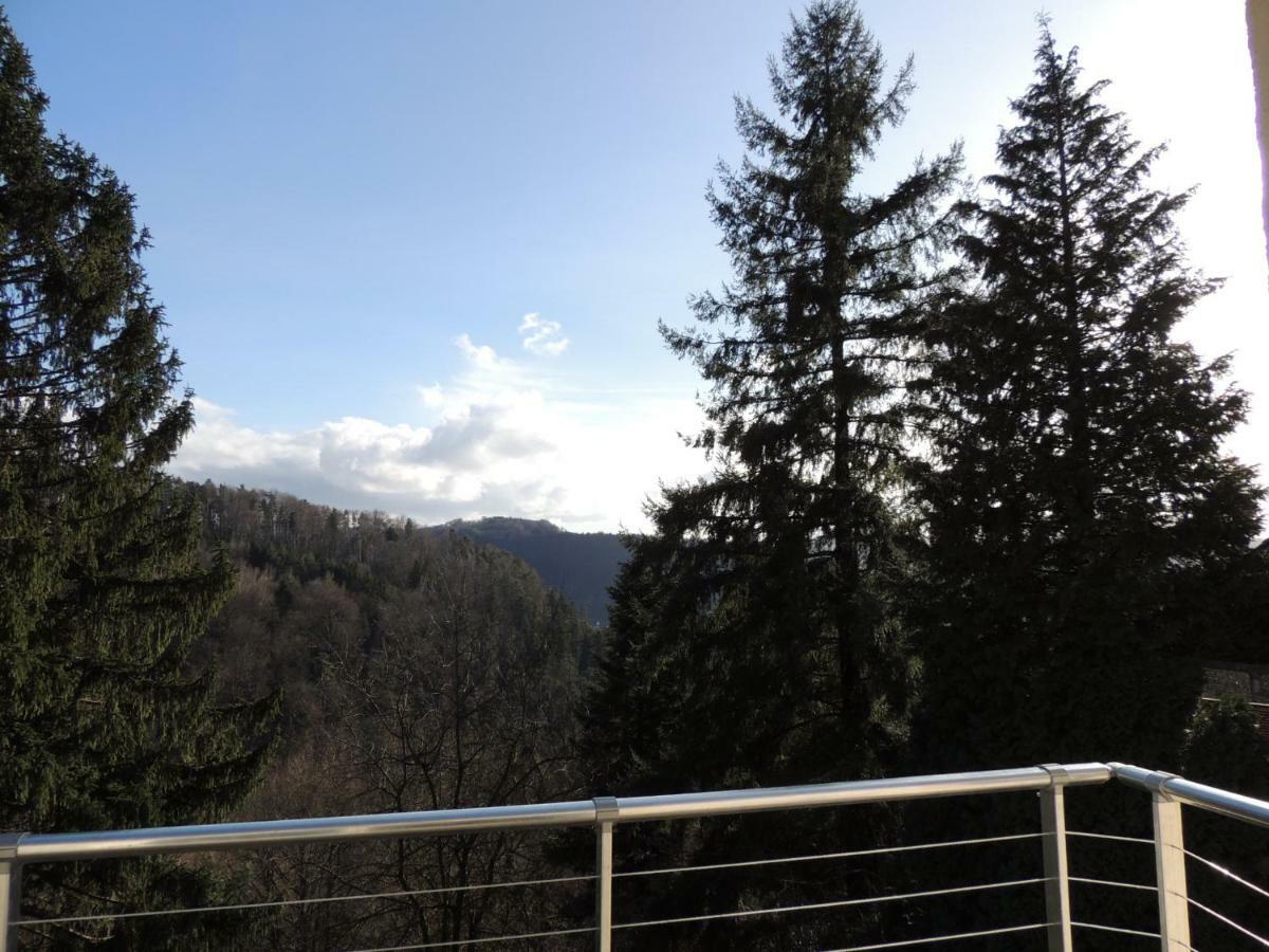 Gite Esperanza Spa Et Sauna Haselbourg Esterno foto